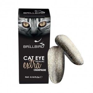 CAT EYE EXTRA CHAMPAGNE